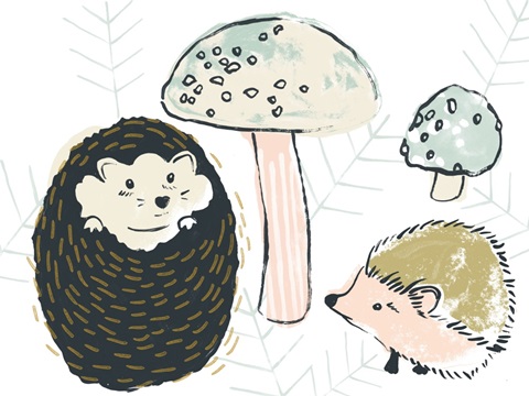 Prickle Pals Collection A