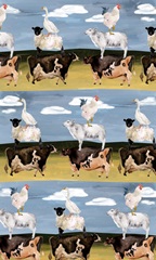 Red Cottage Collection E