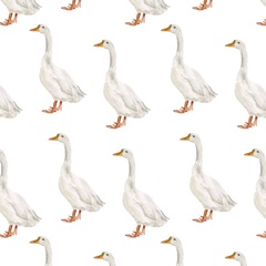 Red Cottage Collection G