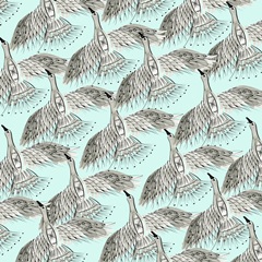 Roam Free Collection F