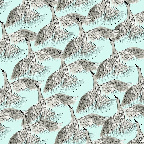 Roam Free Collection F