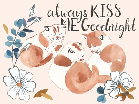 Sleep to Dream Collection A