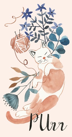 Sleep to Dream Collection B