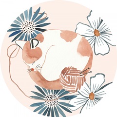 Sleep to Dream Collection C