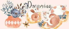 Sleep to Dream Collection D