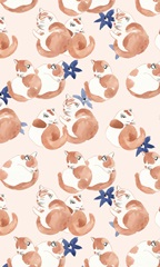 Sleep to Dream Collection E