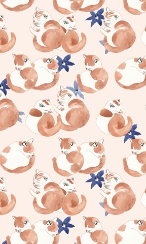 Sleep to Dream Collection E