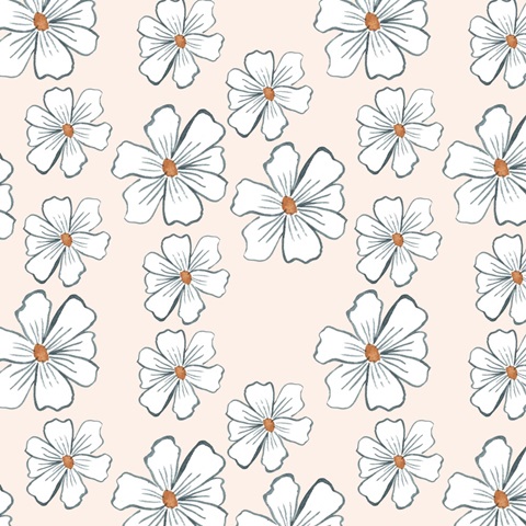 Sleep to Dream Collection F