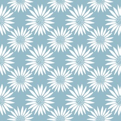 Sleep to Dream Collection G