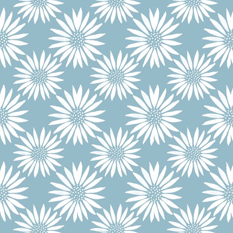 Sleep to Dream Collection G