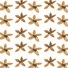 Sleep to Dream Collection H