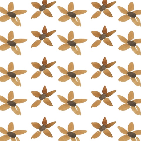 Sleep to Dream Collection H