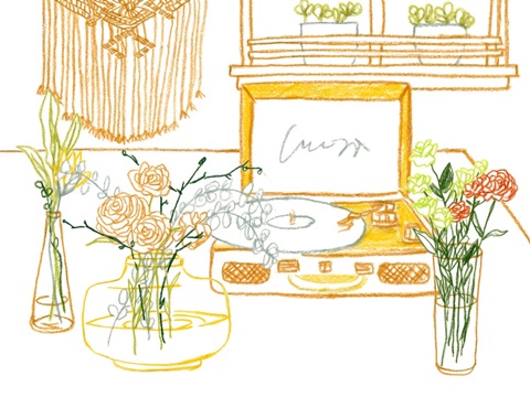 Starting Fresh Collection A