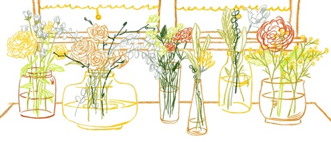 Starting Fresh Collection D