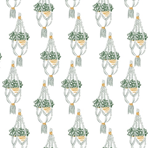 Starting Fresh Collection F