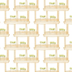 Starting Fresh Collection G