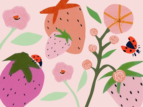 Strawberry Fields Collection A