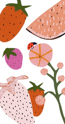 Strawberry Fields Collection B