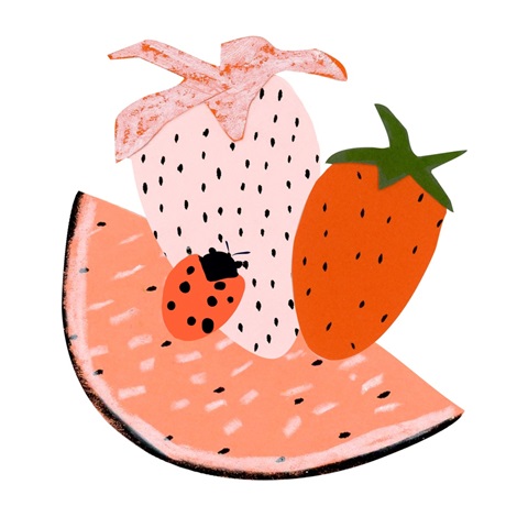 Strawberry Fields Collection C