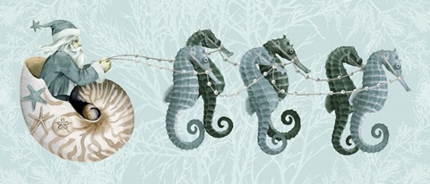 The Sea Santa Collection D