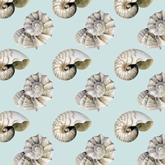 The Sea Santa Collection G