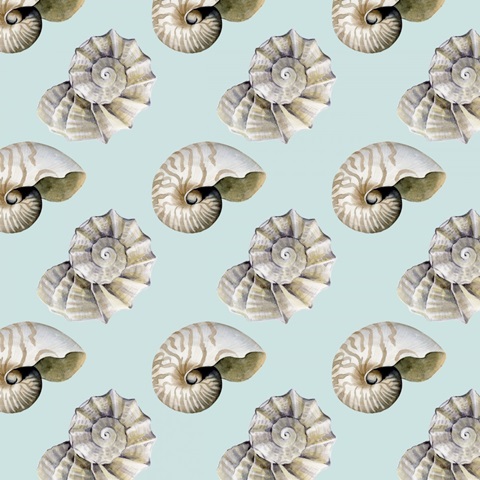 The Sea Santa Collection G