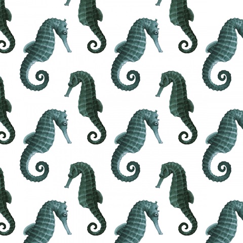 The Sea Santa Collection H