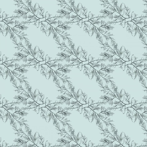 The Sea Santa Collection I