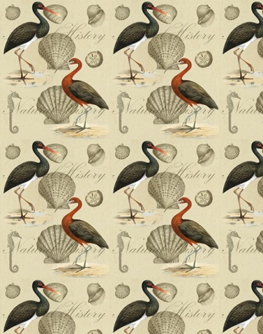 Traditional Coastal Repeats A