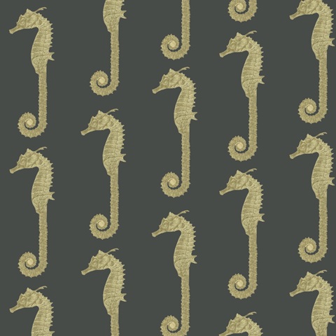 Traditional Coastal Repeats C