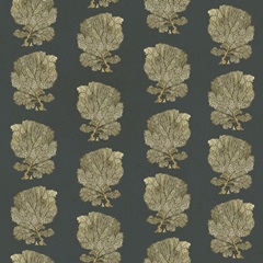 Traditional Coastal Repeats F