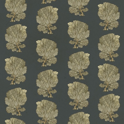 Traditional Coastal Repeats F