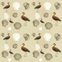 Traditional Coastal Repeats G