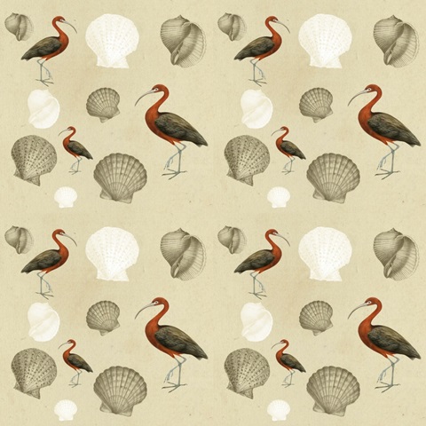 Traditional Coastal Repeats G