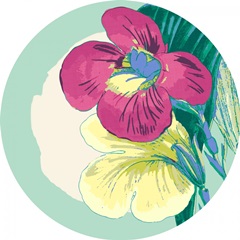 Tropical Getaway Collection C