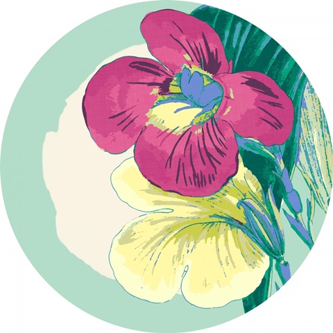 Tropical Getaway Collection C