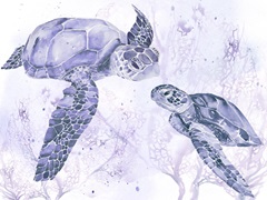 Underwater Halcyon Collection A