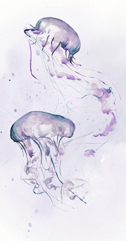 Underwater Halcyon Collection B