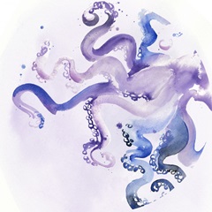 Underwater Halcyon Collection C