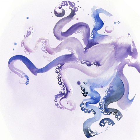 Underwater Halcyon Collection C