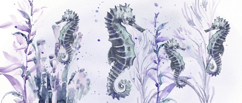 Underwater Halcyon Collection D