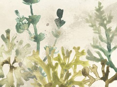 Vintage Sea Fronds Collection A