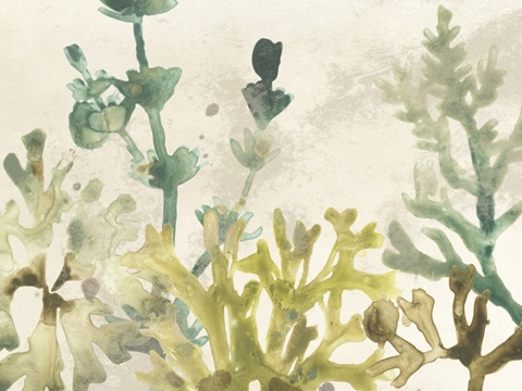 Vintage Sea Fronds Collection A