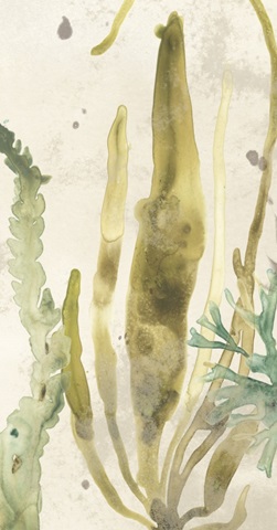 Vintage Sea Fronds Collection B