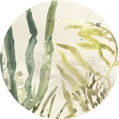 Vintage Sea Fronds Collection C