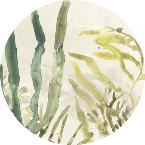 Vintage Sea Fronds Collection C