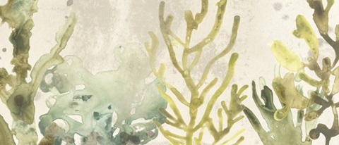 Vintage Sea Fronds Collection D