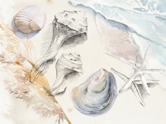 Washed Ashore Collection A