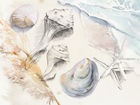 Washed Ashore Collection A