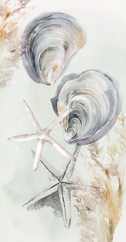 Washed Ashore Collection B